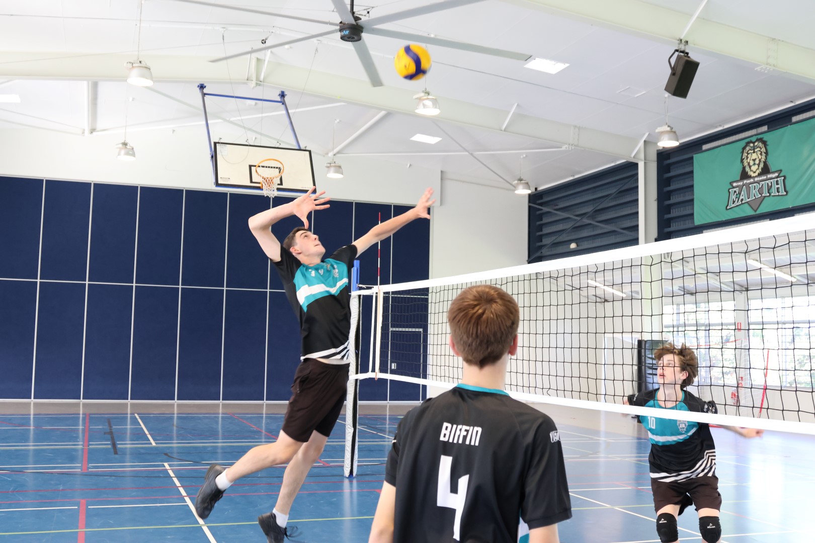 volleyball.JPG