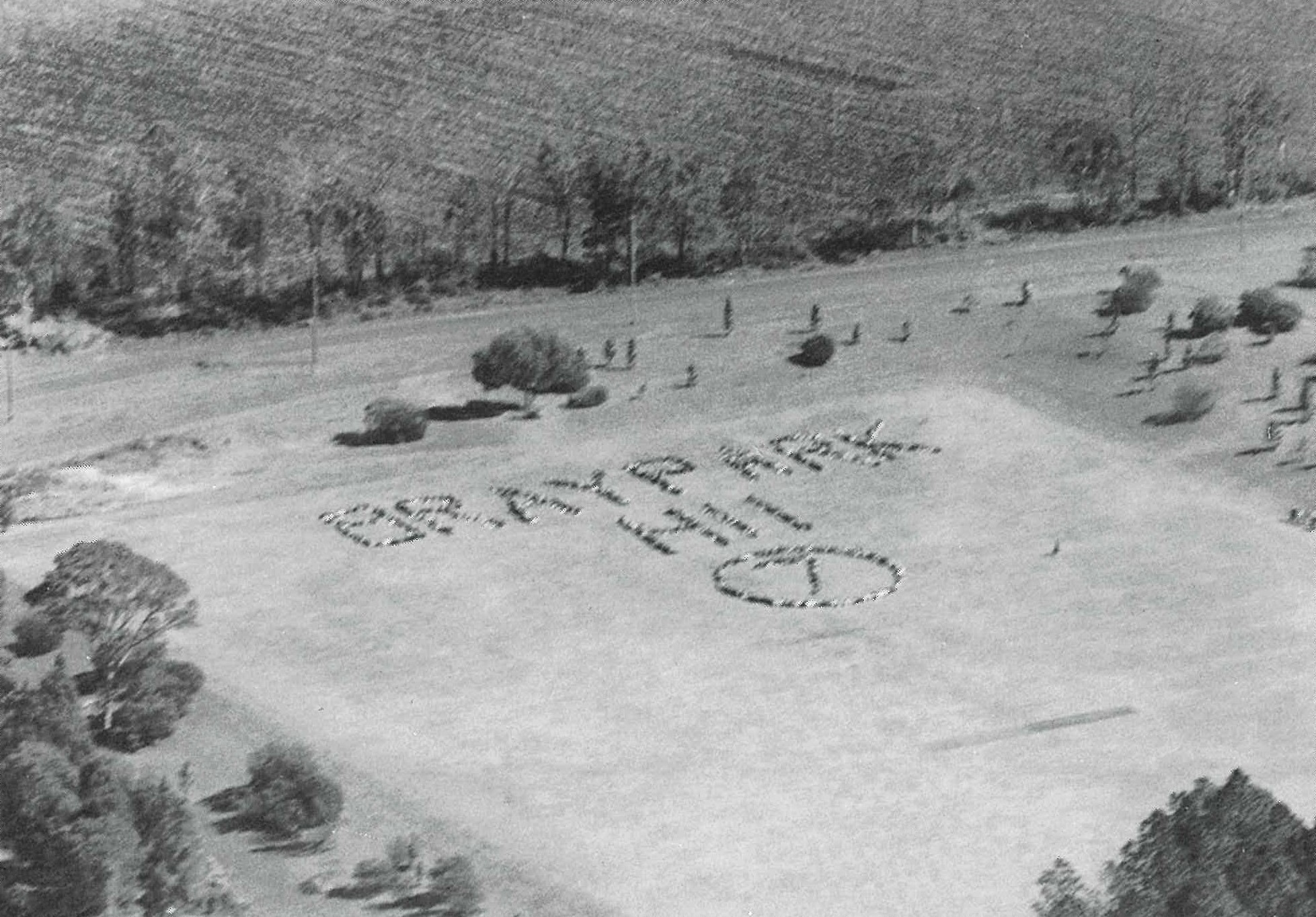 1990 Aerial Photo on Oval.jpeg